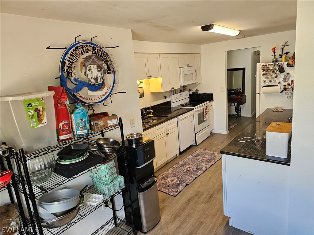  Fort Myers FL 33967 226010470 image4