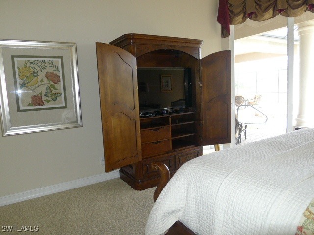 18301 Verona Lago Drive Miromar Lakes FL 33913 225064222 image12