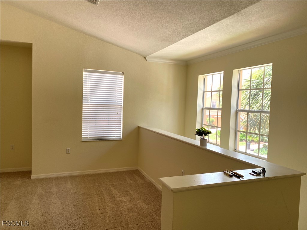 1831 Concordia Lake Circle #1409 Cape Coral FL 33909 2025008432 image10