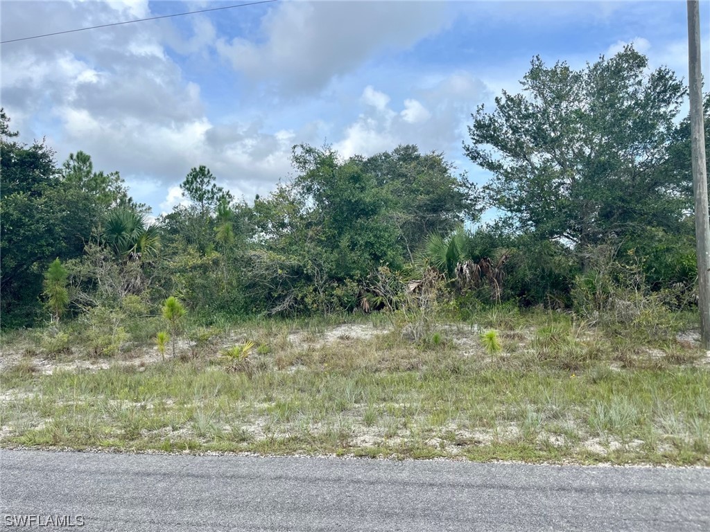 1831 Lindenwood Drive Lehigh Acres FL 33972 223053775 image1