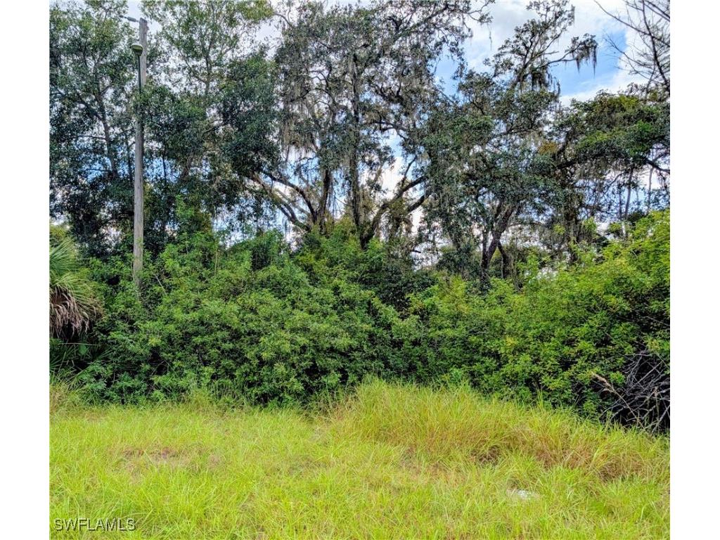 1837 Norma Court Lehigh Acres FL 33972 225074120 image4