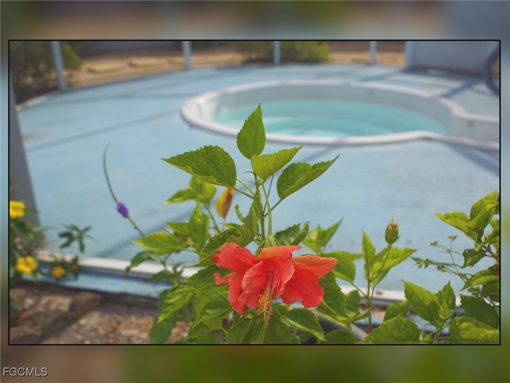 18409 Orangecrest Court Lehigh Acres FL 33936 2025019454 image31