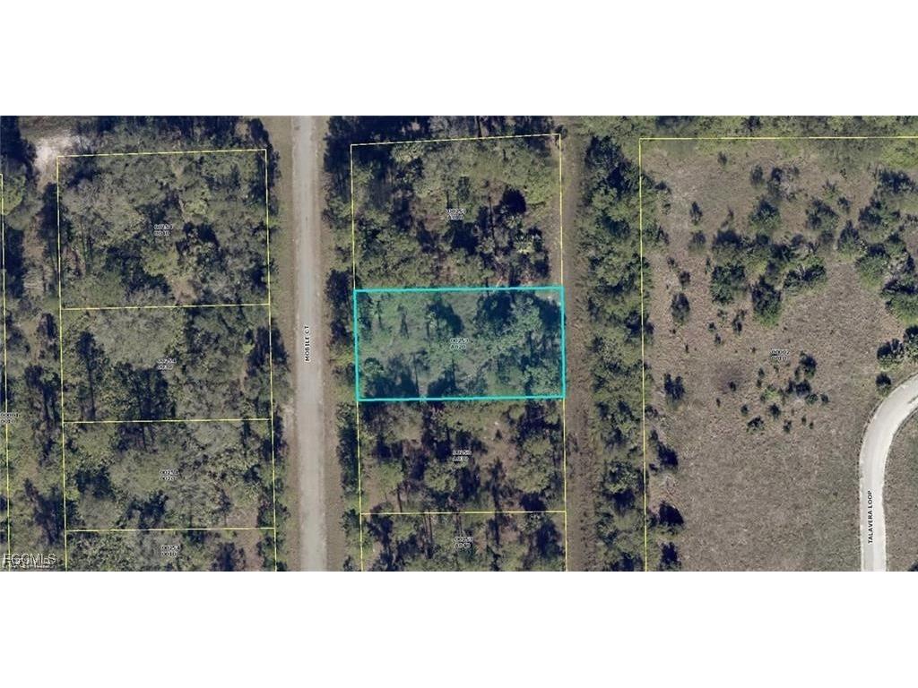 1844 Mobile Court Lehigh Acres FL 33972 2025023782 image6