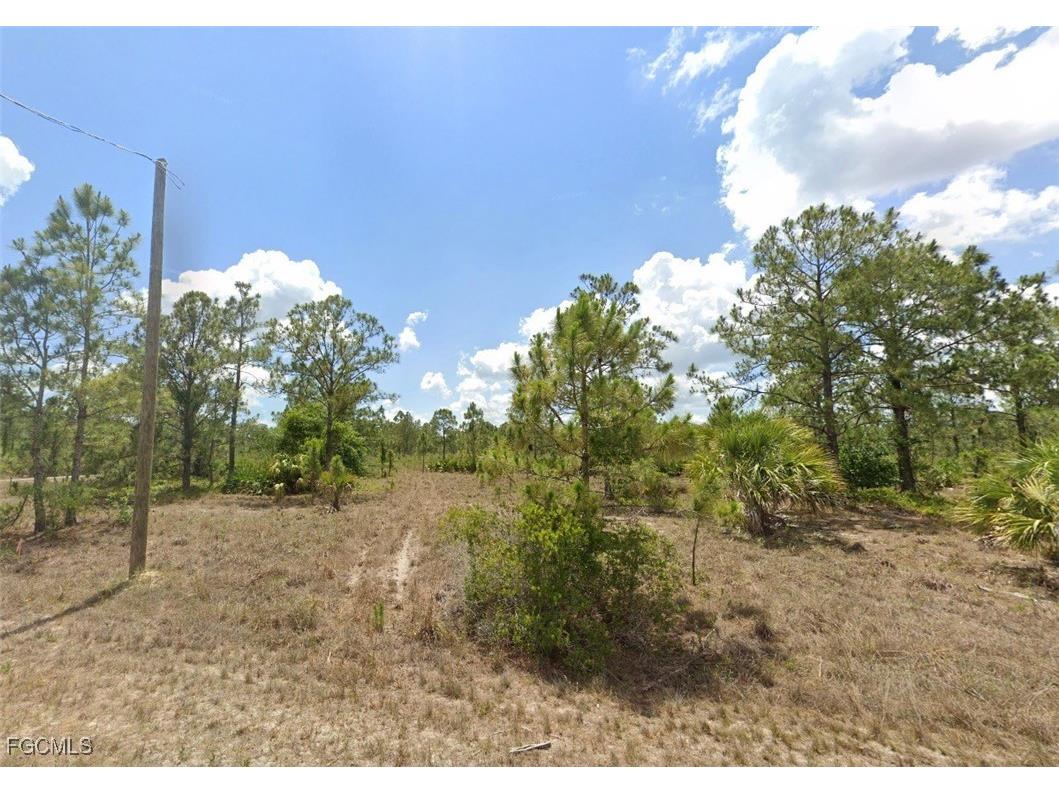 1847 Montana Street Lehigh Acres FL 33972 2025005366 image2