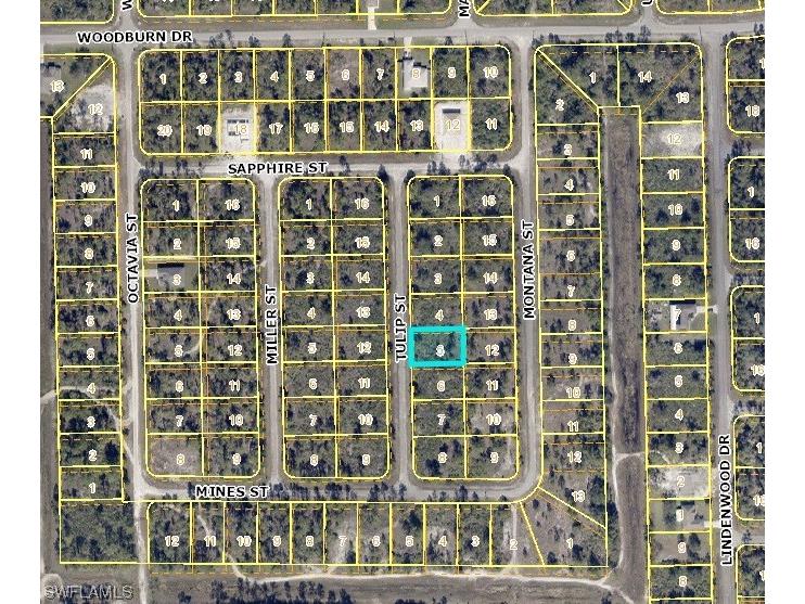 1850 Tulip Street Lehigh Acres FL 33972 224009851 image1