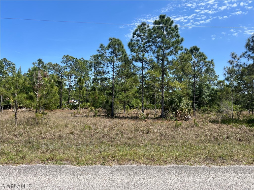 1852 Montana Street Lehigh Acres FL 33972 224031879 image1