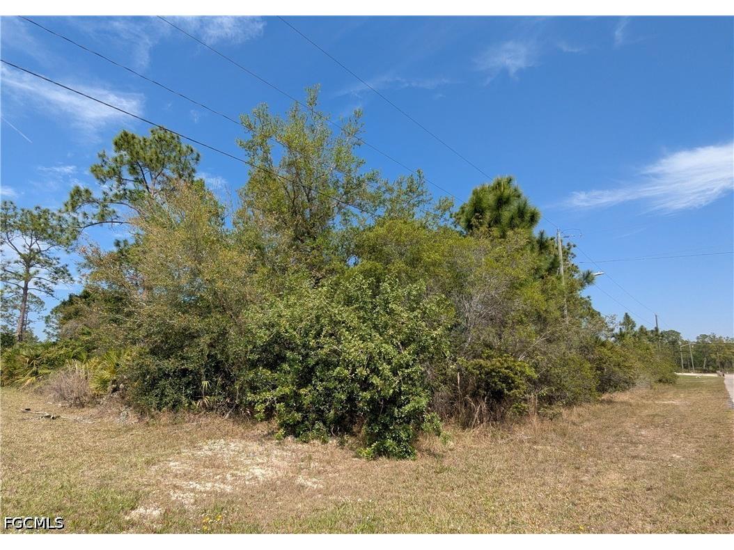 1855 Lindenwood Drive Lehigh Acres FL 33972 2026015006 image2