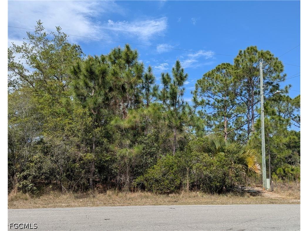 1855 Lindenwood Drive Lehigh Acres FL 33972 2026015006 image3