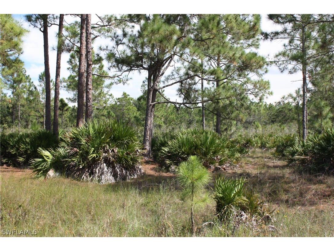 1855 Miller Street Lehigh Acres FL 33972 221075232 image1