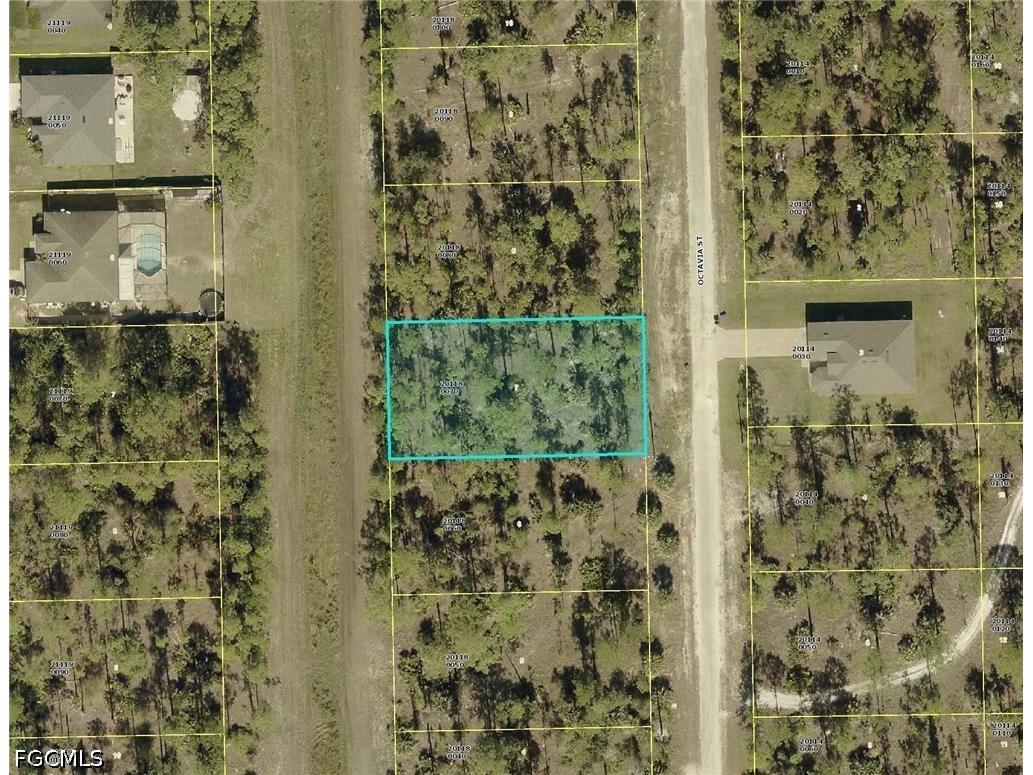 1855 Octavia Street Lehigh Acres FL 33972 2026016803 image1