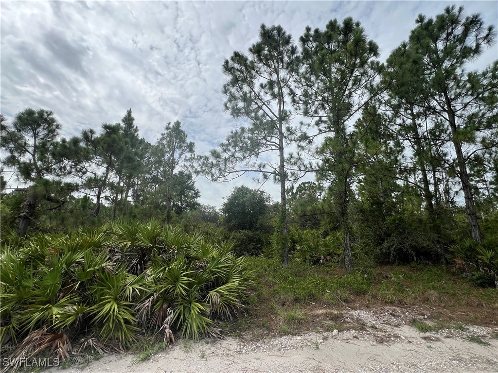 1868 Outpost Circle Lehigh Acres FL 33972 225058956 image2