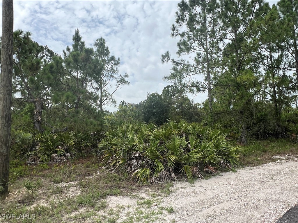 1868 Outpost Circle Lehigh Acres FL 33972 225058956 image3