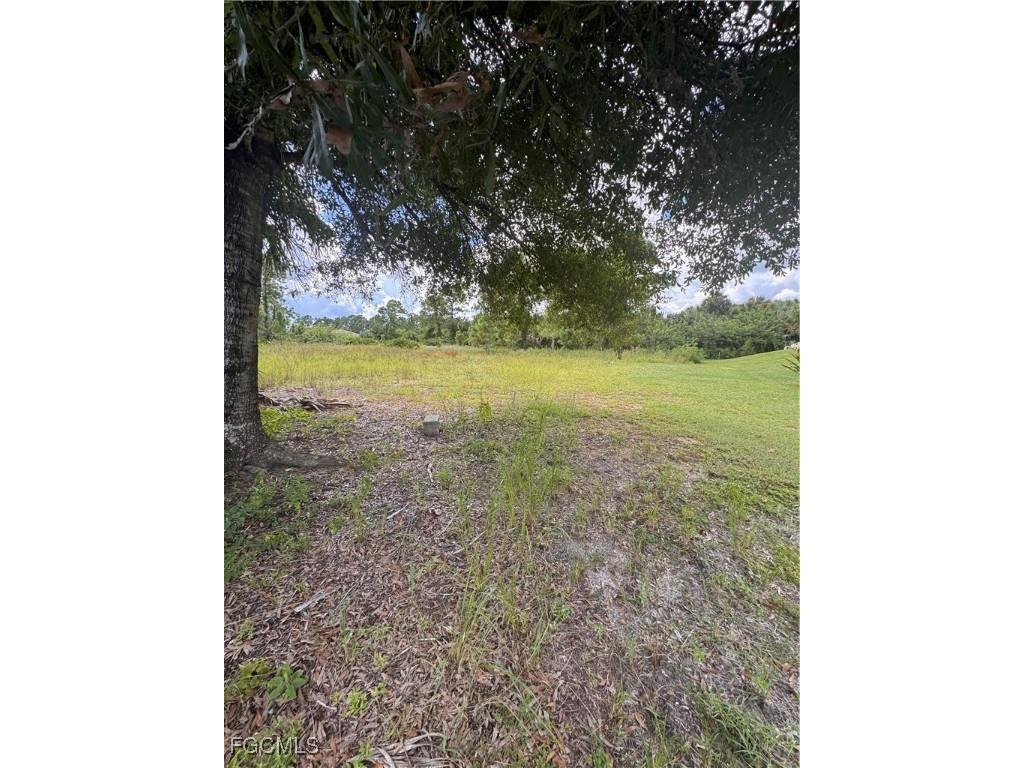 188 Castle Avenue Lehigh Acres FL 33974 2025012339 image2