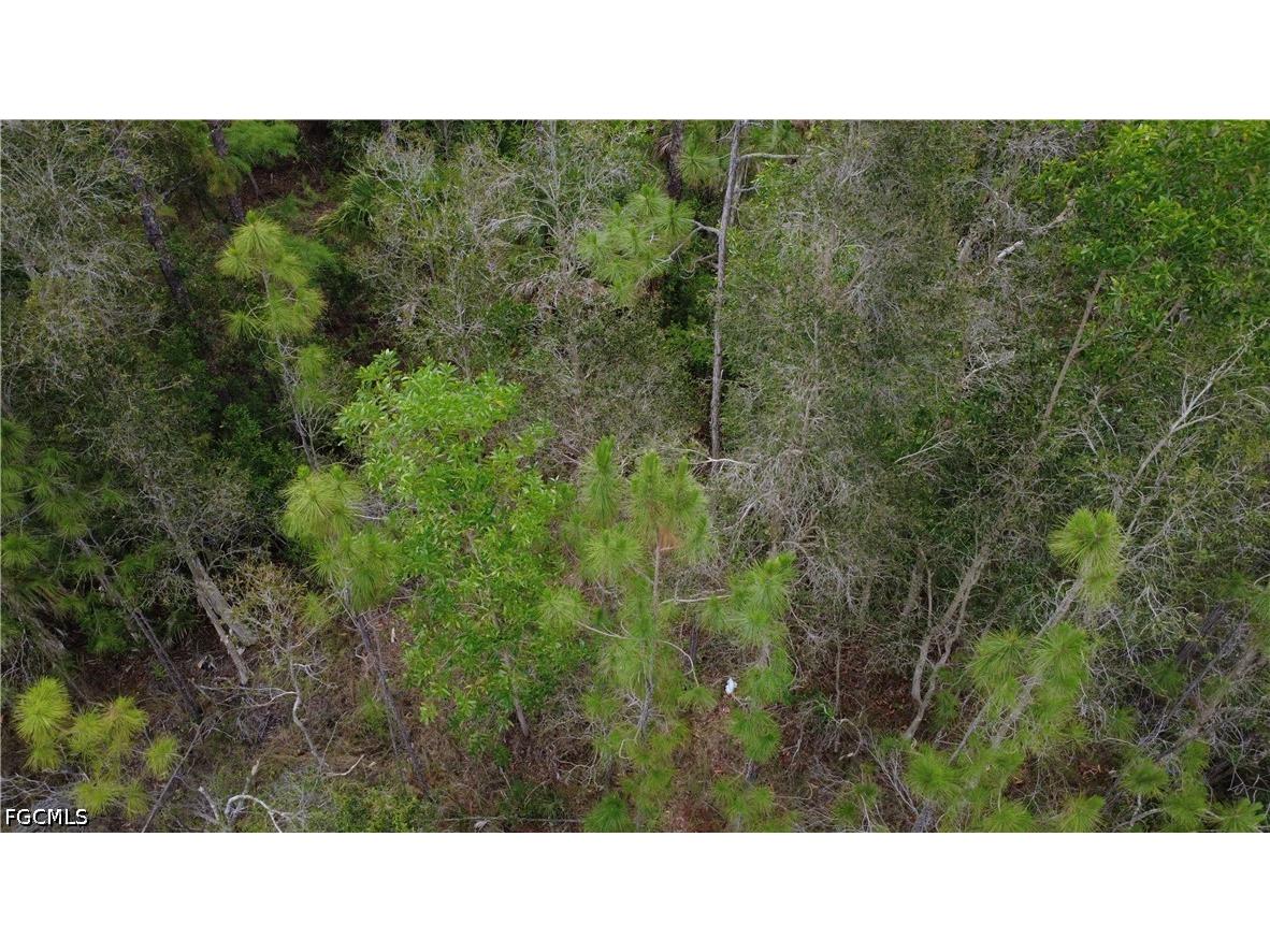 188 Victory Court Lehigh Acres FL 33972 225059879 image28