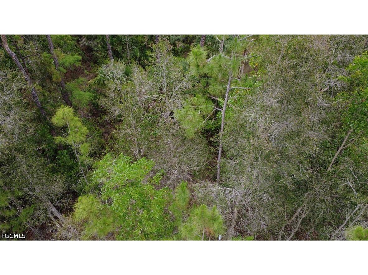188 Victory Court Lehigh Acres FL 33972 225059879 image29