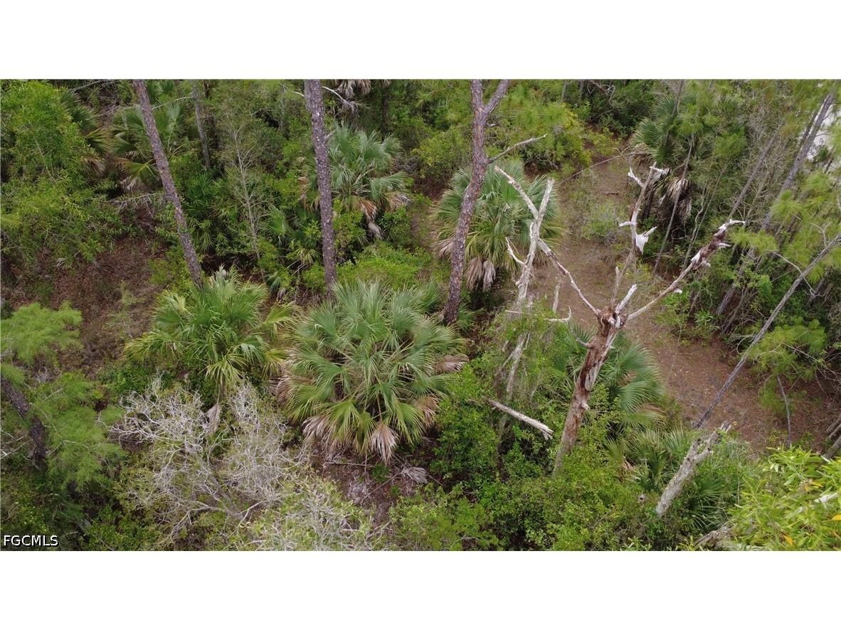 188 Victory Court Lehigh Acres FL 33972 225059879 image30