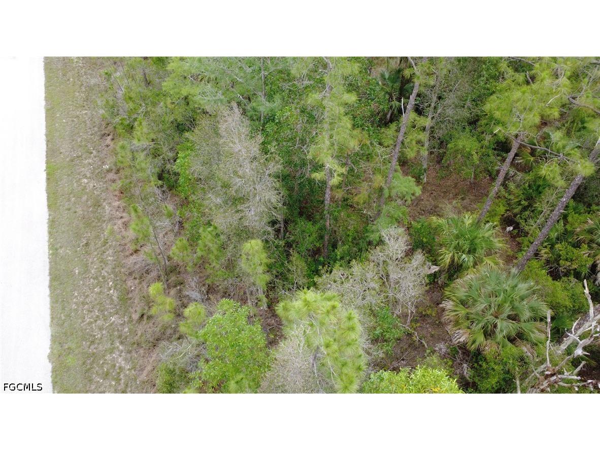 188 Victory Court Lehigh Acres FL 33972 225059879 image5
