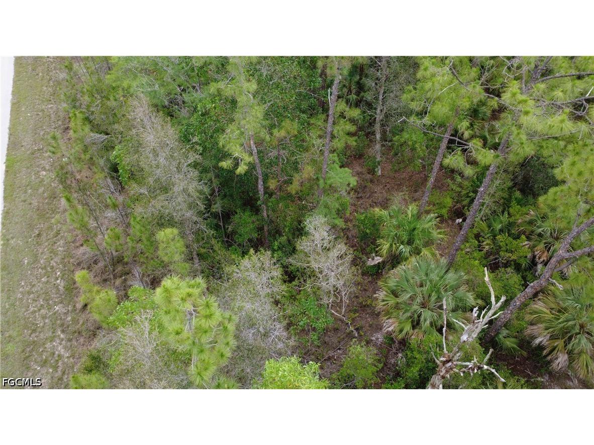 188 Victory Court Lehigh Acres FL 33972 225059879 image6
