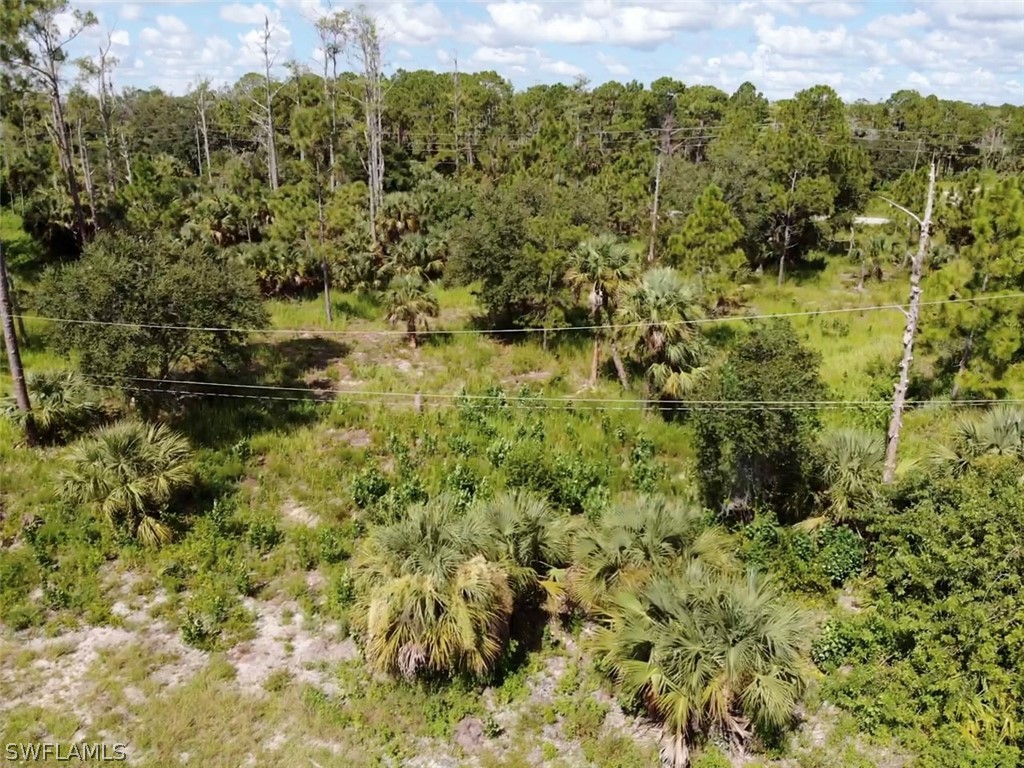 1889 Weldon Avenue Lehigh Acres FL 33972 224062588 image1