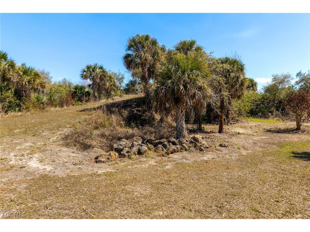 18890 Fox Run Road Alva FL 33920 2026011879 image33