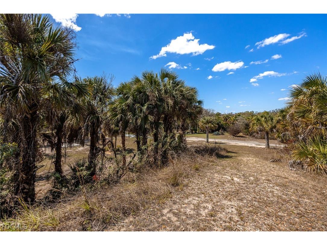 18890 Fox Run Road Alva FL 33920 2026011879 image34