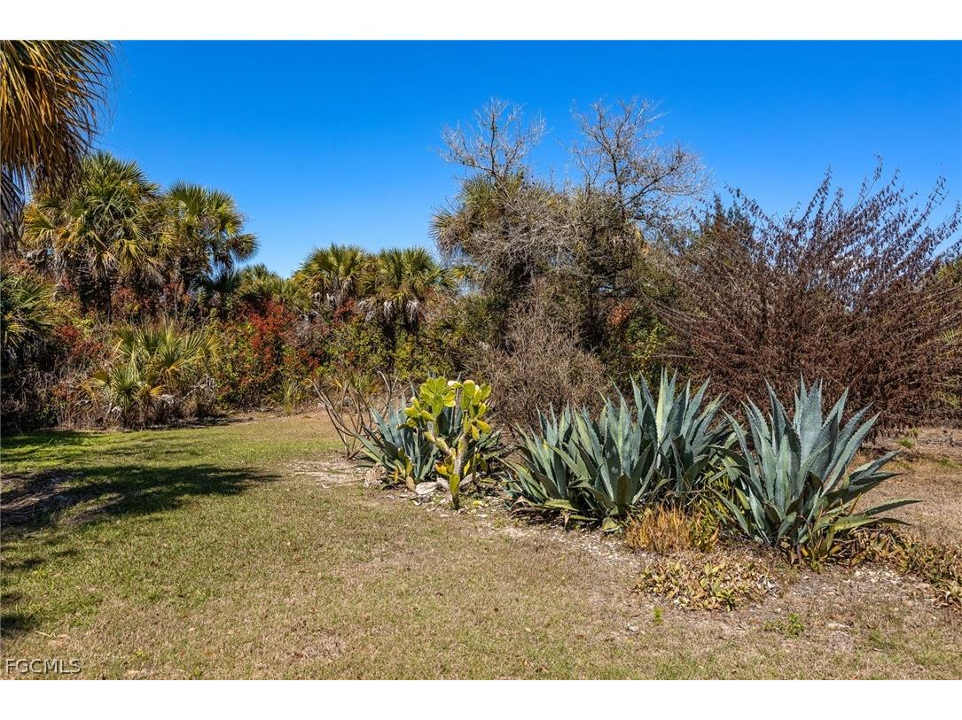 18890 Fox Run Road Alva FL 33920 2026011879 image35