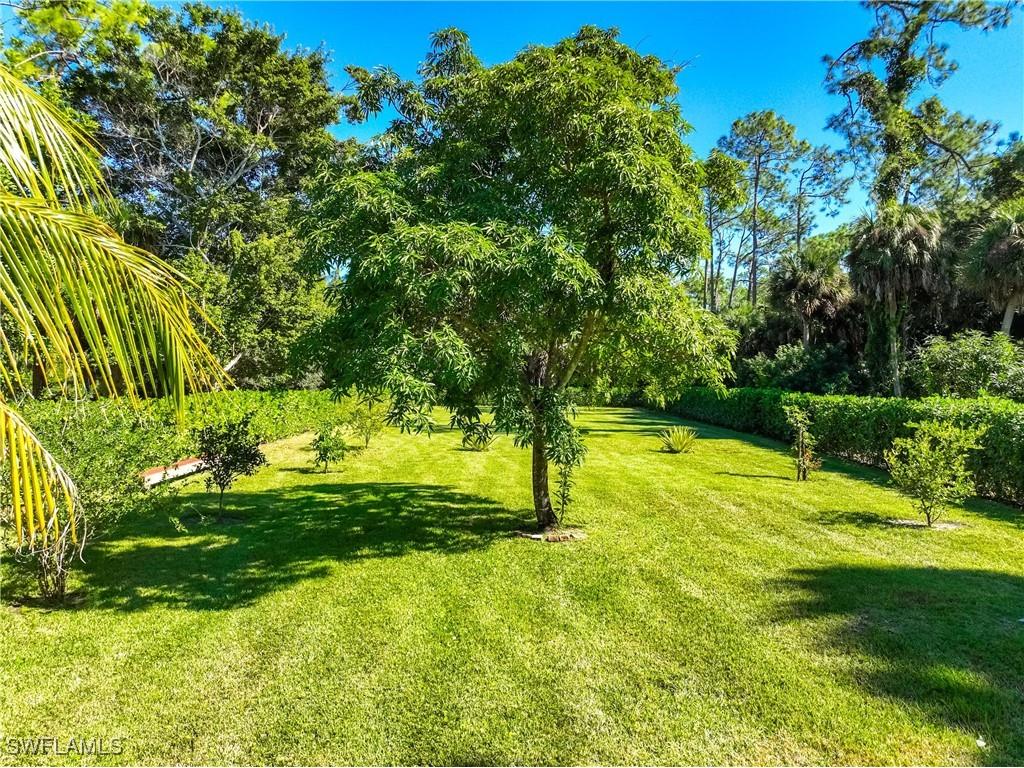 1890 Oakes Boulevard #A Naples FL 34119 226003455 image32