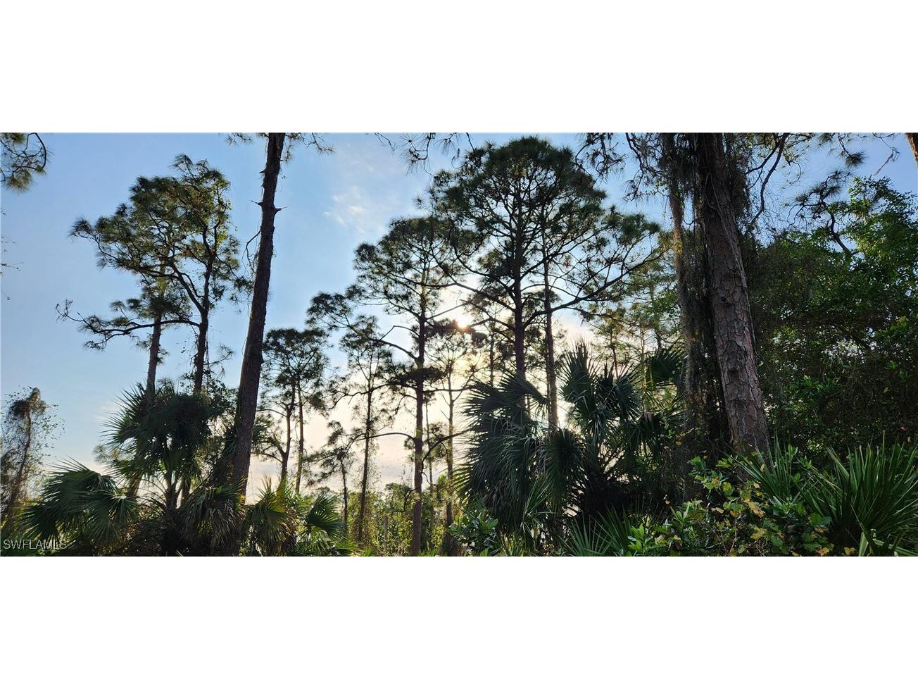 18th Ave Avenue NE Naples FL 34120 225002664 image1