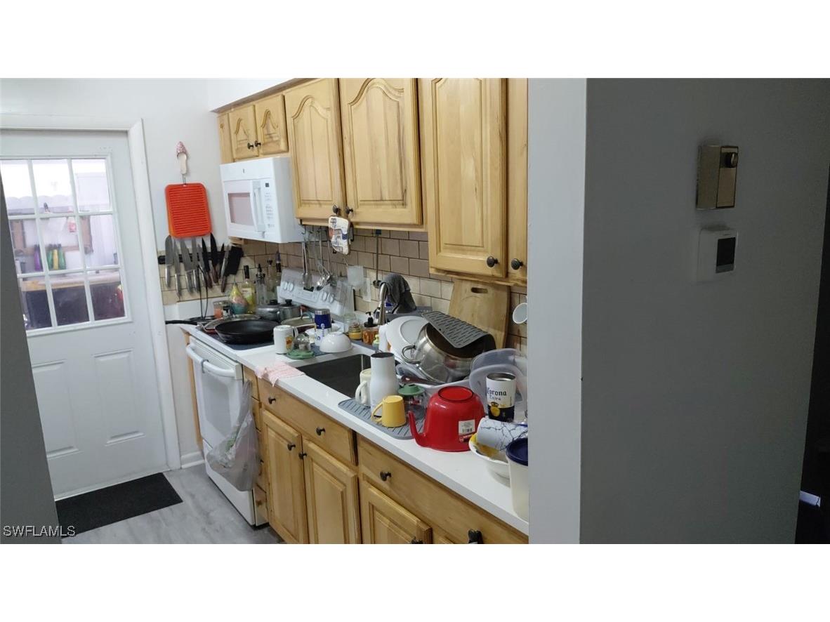 19 Pinewood Boulevard Lehigh Acres FL 33936 225046577 image3