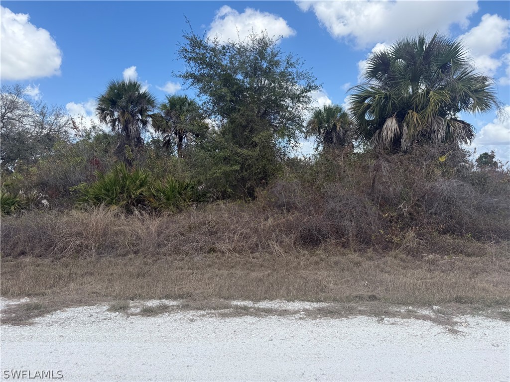 1900 W 18th Street Lehigh Acres FL 33972 226011329 image1