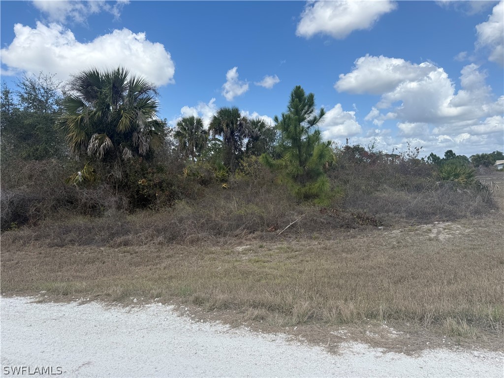 1900 W 18th Street Lehigh Acres FL 33972 226011329 image2