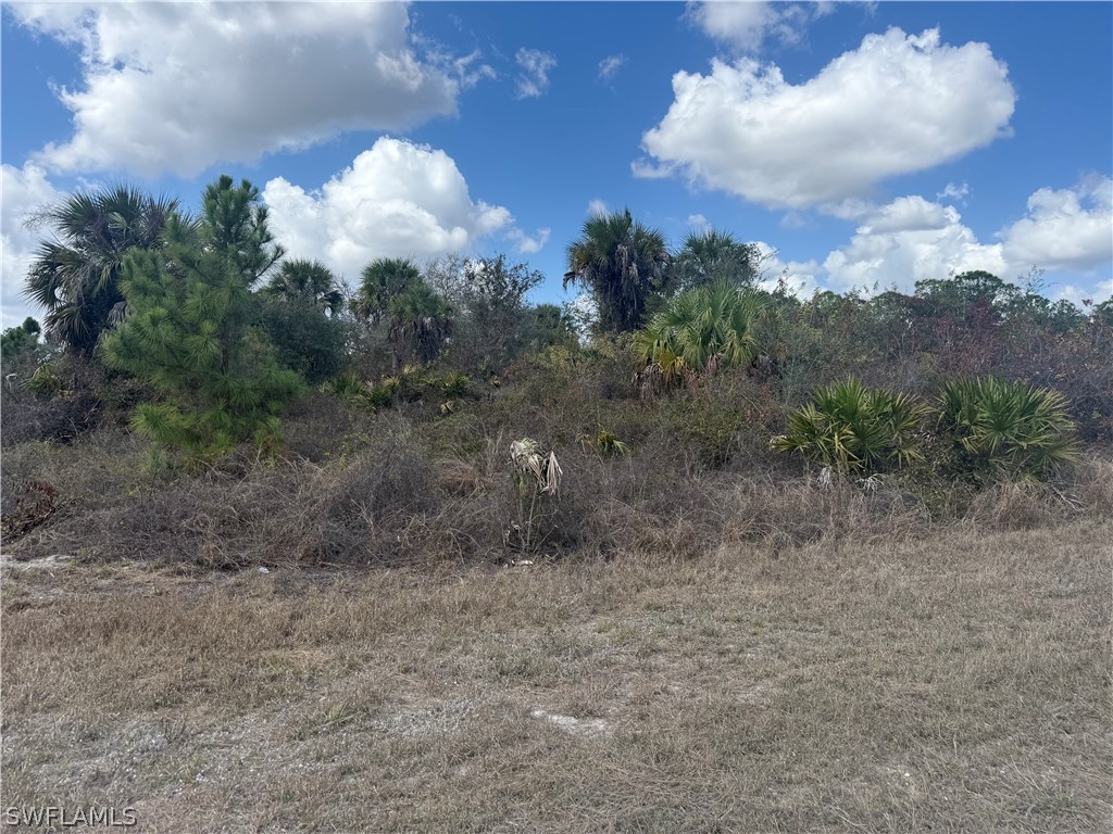 1900 W 18th Street Lehigh Acres FL 33972 226011329 image3