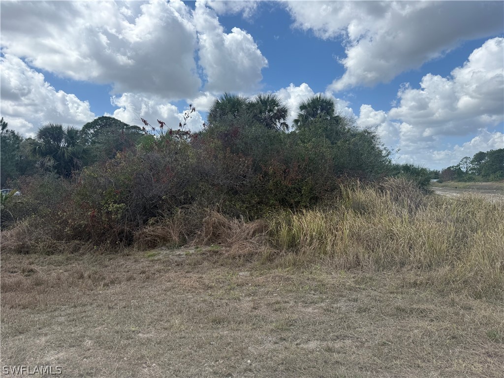 1900 W 18th Street Lehigh Acres FL 33972 226011329 image4