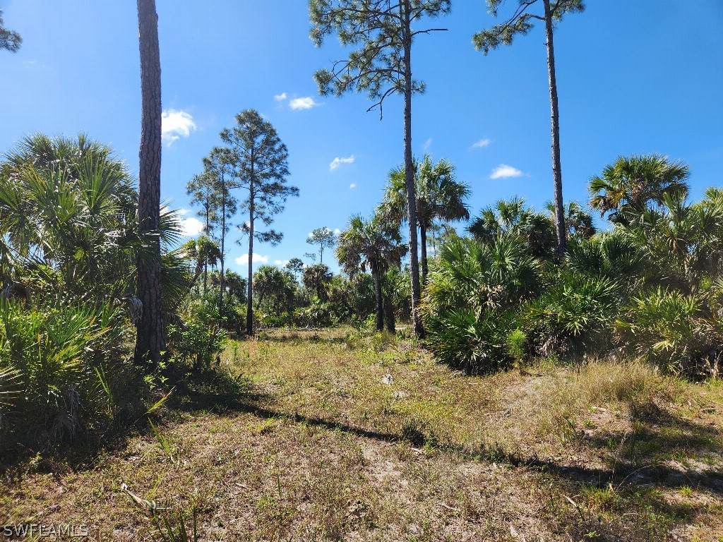 1901 Ivy Way Naples FL 34117 224061651 image1