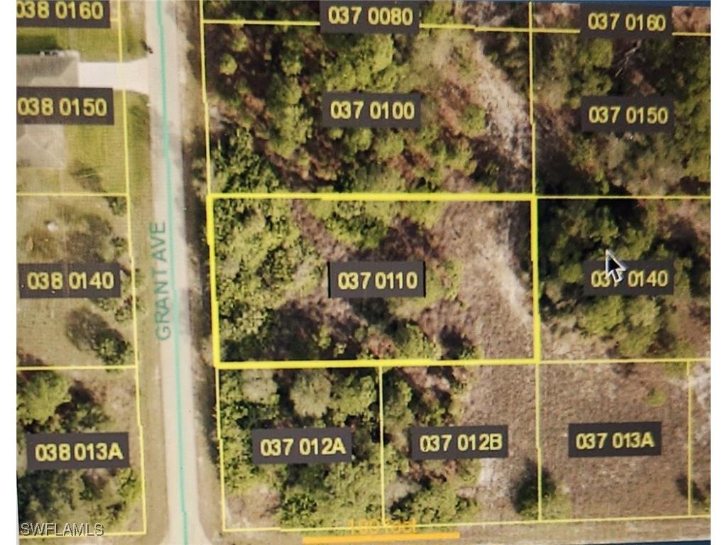 1902 Grant Avenue Lehigh Acres FL 33972 225020977 image1