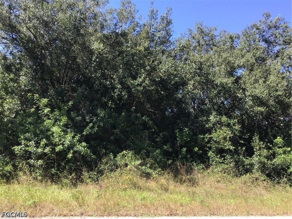 1903 Leroy Avenue Lehigh Acres FL 33972 2026027799 image1