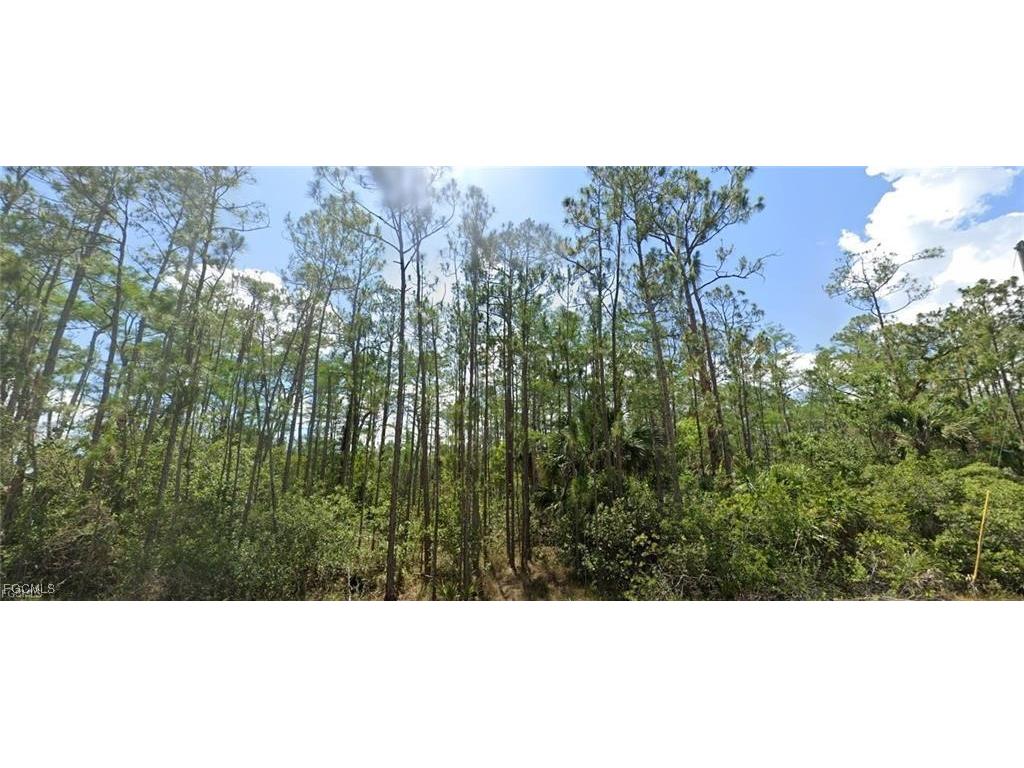 1903 Weller Avenue Lehigh Acres FL 33972 2026004722 image2