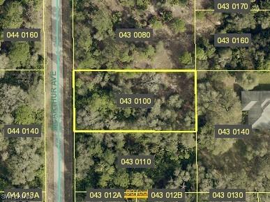 1904 Mcarthur Avenue Lehigh Acres FL 33972 225016015 image1