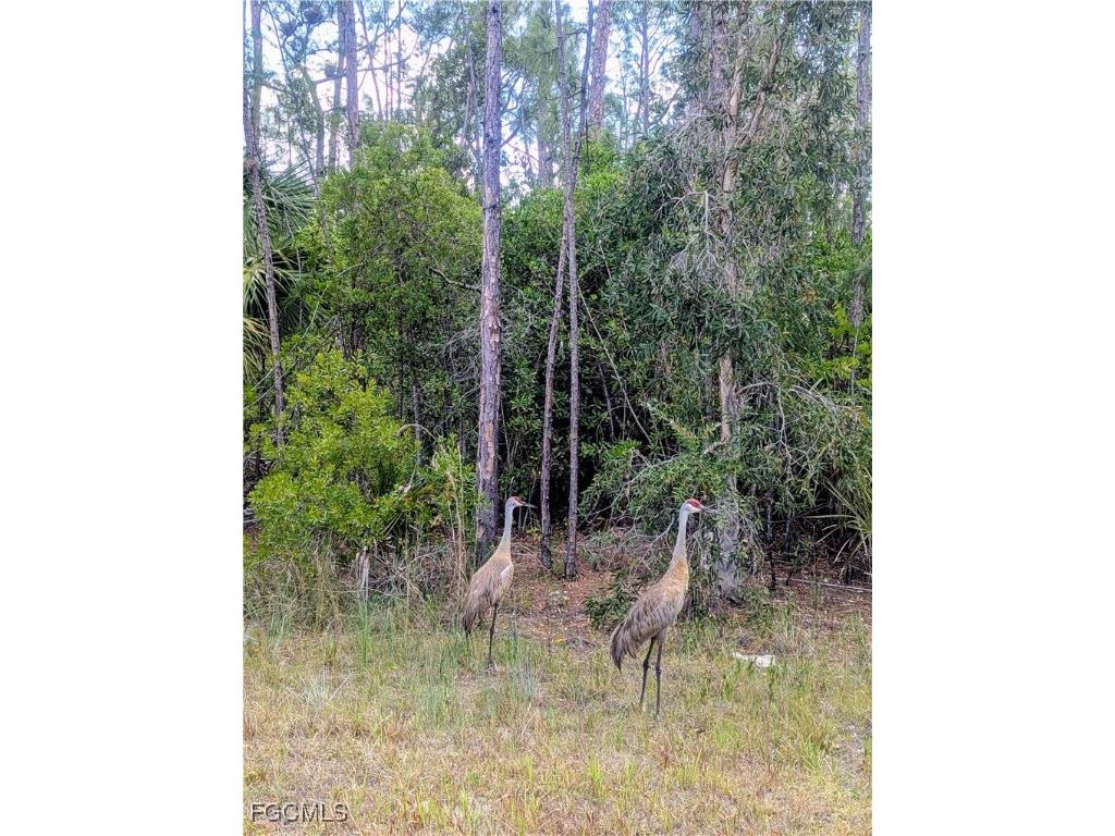 1904 Ney Court Lehigh Acres FL 33972 2026004906 image2