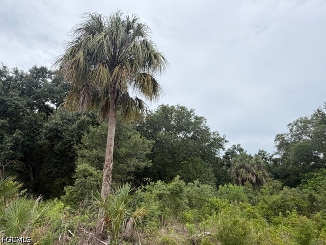 1905 Hamilton Avenue Lehigh Acres FL 33972 2026017474 image1