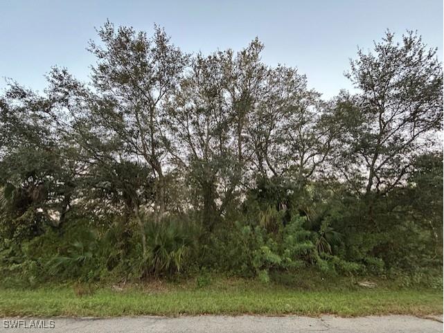 1909 Grant Avenue Lehigh Acres FL 33972 224085538 image1