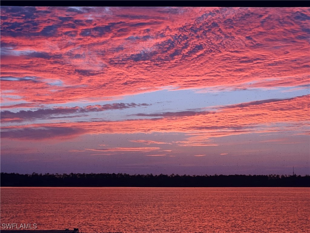 19093 Wildblue Boulevard Fort Myers FL 33913 225067806 image1