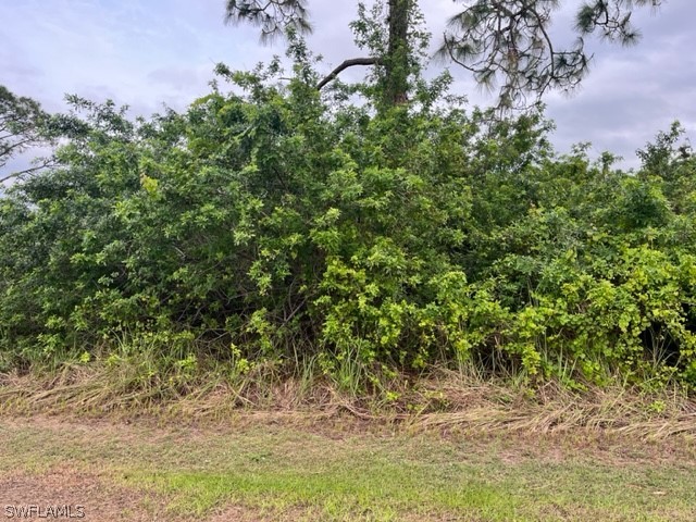 191 Thornton Avenue S Lehigh Acres FL 33974 223001823 image1