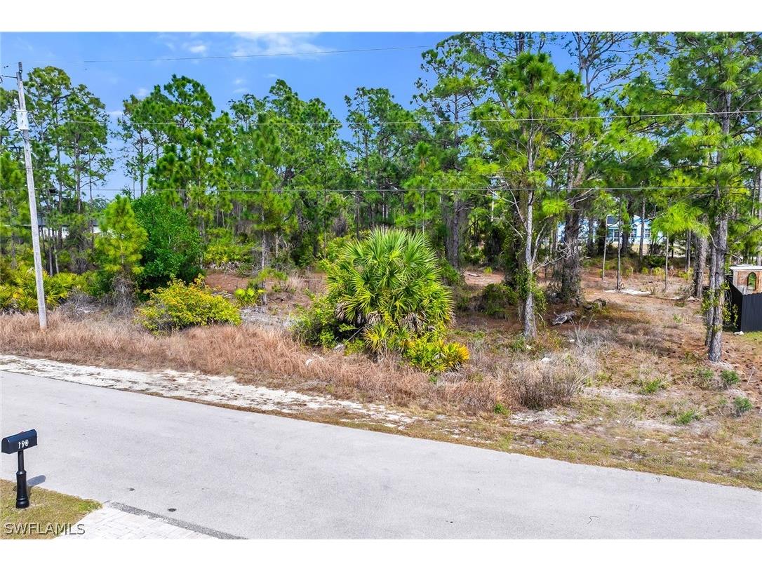 191 Verdun Avenue Lehigh Acres FL 33974 226010021 image11