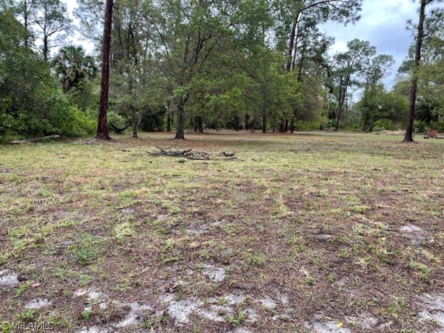 1910 Roosevelt Avenue Lehigh Acres FL 33972 222018269 image1