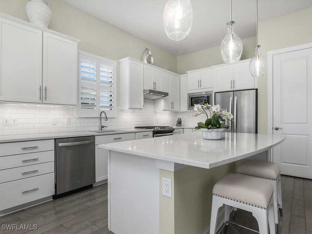 19100 Marquesa Drive Fort Myers FL 33913 225075227 image6