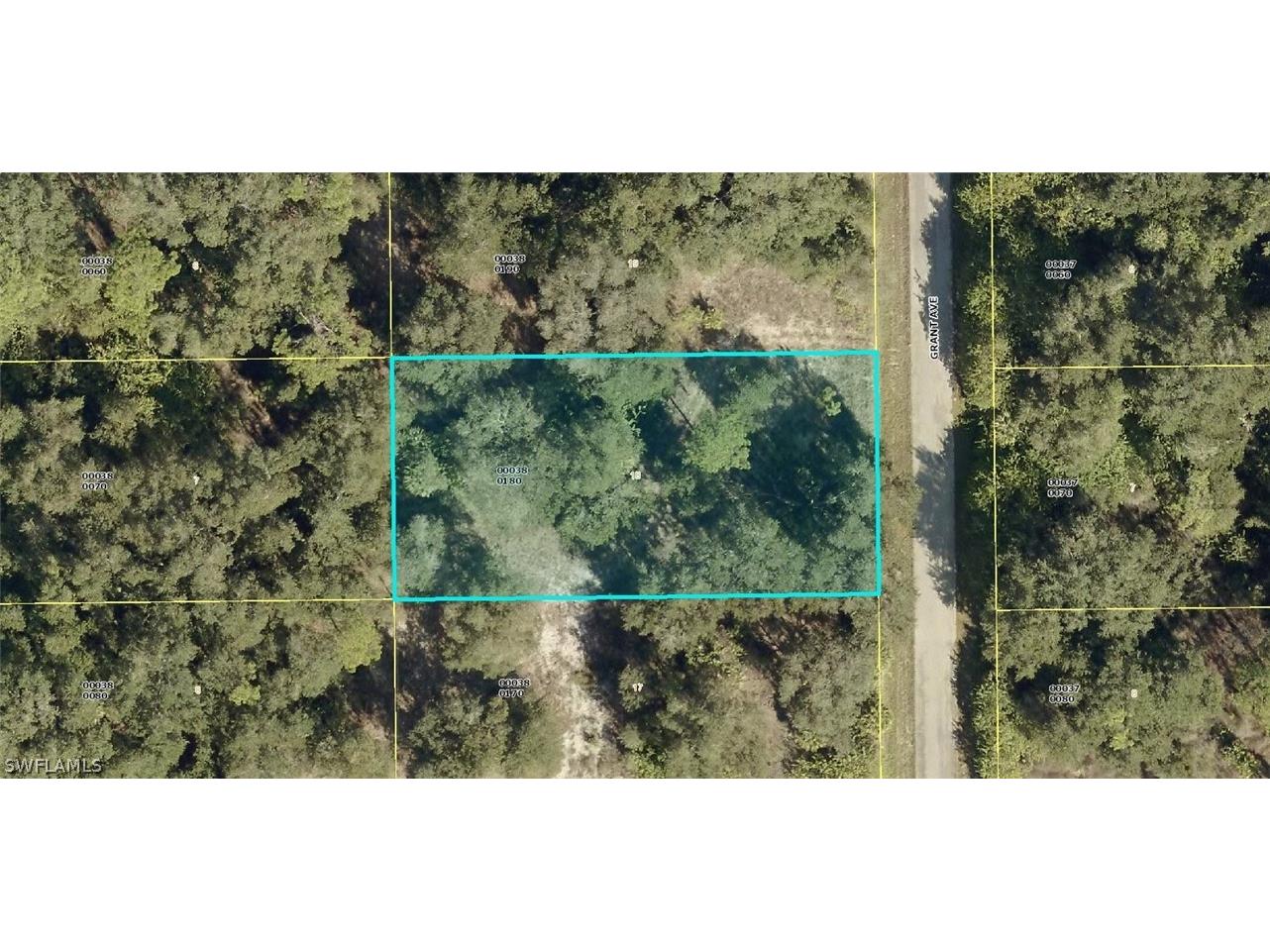 1911 Grant Avenue Lehigh Acres FL 33972 222036641 image1