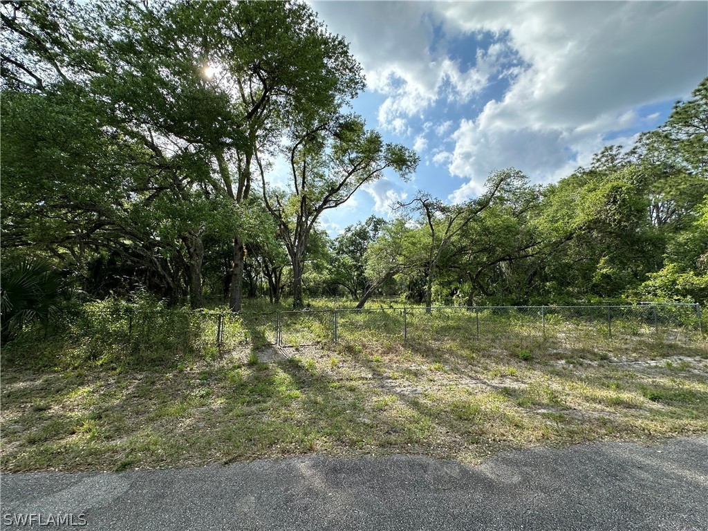 1911 Robert Avenue Lehigh Acres FL 33972 224020770 image1