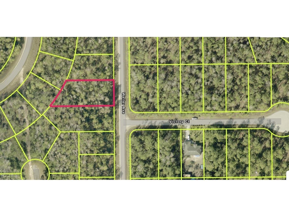 1911 Weller Avenue Lehigh Acres FL 33972 2026003054 image2