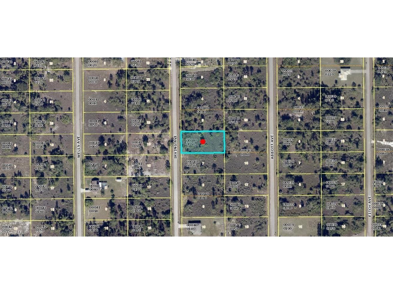 1912 Irving Avenue Lehigh Acres FL 33972 223041150 image1